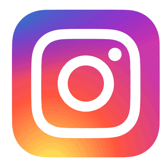 Logo instagram