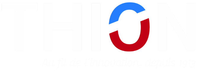 Groupe THION